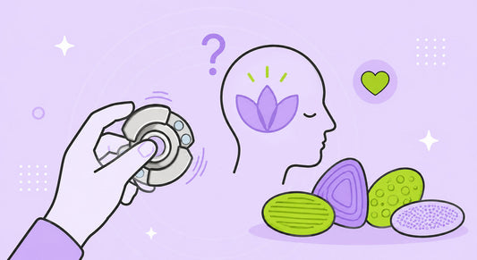 Fidget Toys for Anxiety